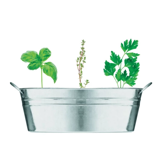 Cynkowa wanienka z nasionami - MIX SEEDS (MO6497-16)