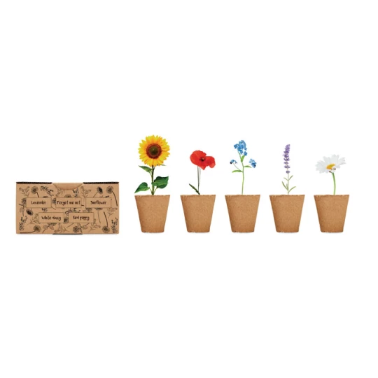 Zestaw do uprawy kwiatów - FLOWERS (MO6500-13)