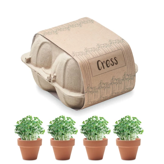 Zestaw do uprawy w kartonie - CRESS (MO6886-13)