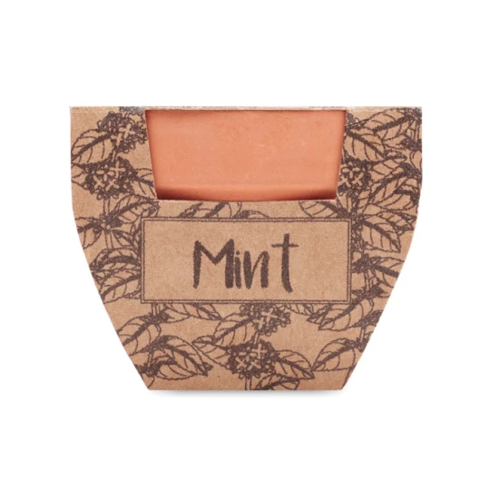 Nasiona mięty w doniczce - MINT POT (MO2218-40)
