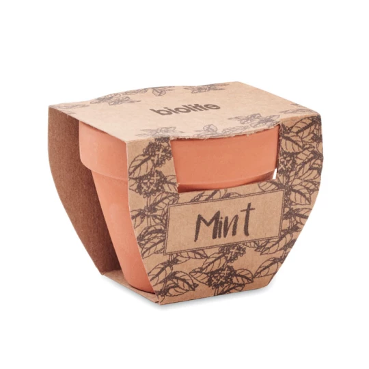 Nasiona mięty w doniczce - MINT POT (MO2218-40)