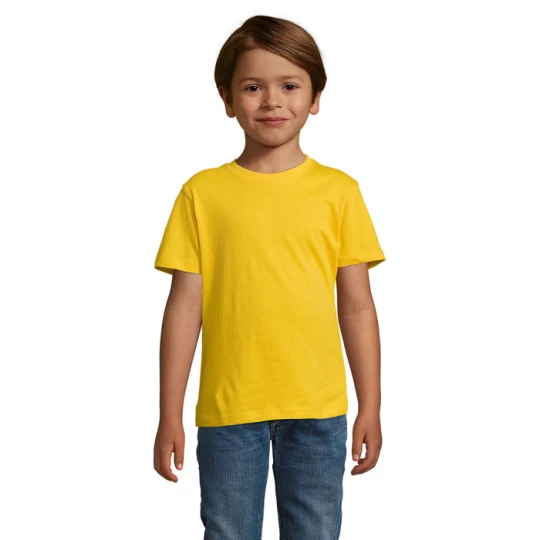 REGENT Dziecięcy T-SHIRT - REGENT KIDS (S11970-GO-3XL)