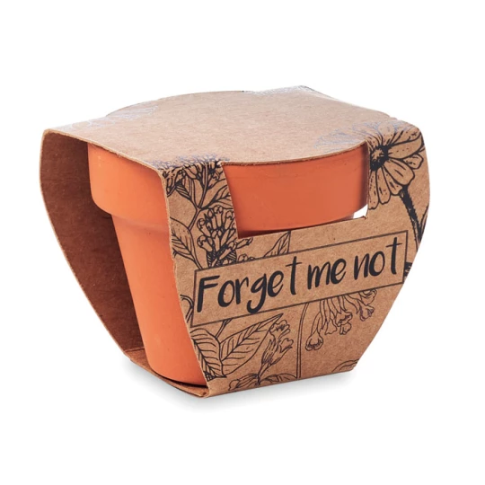 Doniczka, niezapominajka - FORGET ME NOT (MO6146-40)