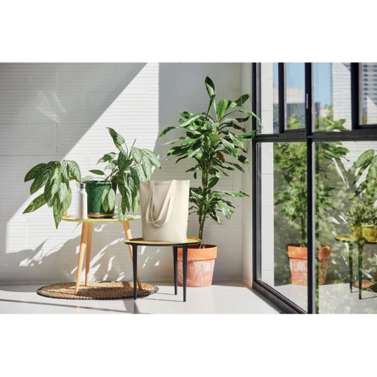 Płócienna torba 270 gr / m² - RASSA (MO6159-13)