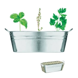 Cynkowa wanienka z nasionami - MIX SEEDS (MO6497-16)