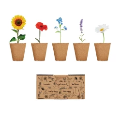 Zestaw do uprawy kwiatów - FLOWERS (MO6500-13)