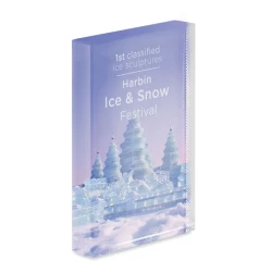 Kryształowa statuetka, nagroda - BLO (MO6677-22)