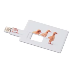Pendrive 32GB - MEMORAMA (MO1059d-06-32GB)