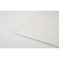 Arkusz A4 z nasionami kwiatów - ASIDI (MO6914-06)