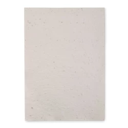 Arkusz A4 z nasionami kwiatów - ASIDI (MO6914-06)