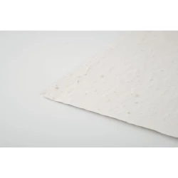 Arkusz A5 z nasionami kwiatów - ASIDE (MO6915-06)