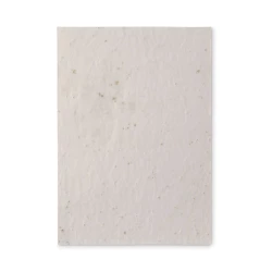 Arkusz A5 z nasionami kwiatów - ASIDE (MO6915-06)