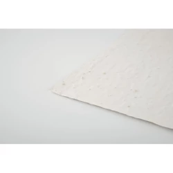 Arkusz A6 z nasionami kwiatów - ASIDO (MO6916-06)