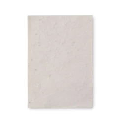 Arkusz A6 z nasionami kwiatów - ASIDO (MO6916-06)