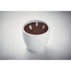 Patyczki z nasionami ziół - LEYTI (MO6927-13)