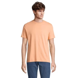 S03981-PH-XL