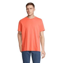 S03981-PO-XS