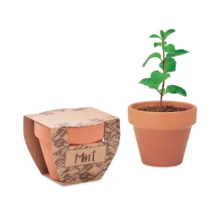 Nasiona mięty w doniczce - MINT POT (MO2218-40)