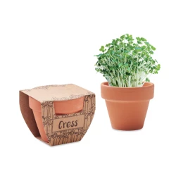 Nasiona rzeżuchy w doniczce - CRESS POT (MO2219-40)