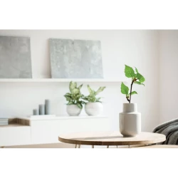 Brzozowy zeszyt A5  GROWBOOK - SAVAGE (MO2251-40)