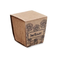 Zestaw do uprawy słonecznika - SUNFLOWER KIT (MO2411-13)