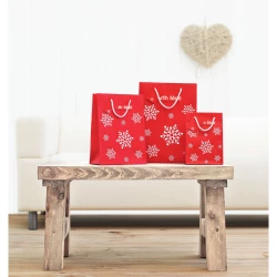 Torba na prezenty - mała - BOSSA SMALL (CX1413-05)