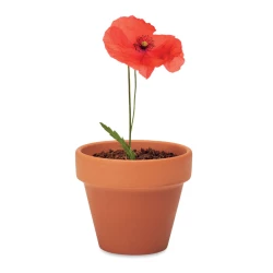 Doniczka, mak - RED POPPY (MO6148-40)