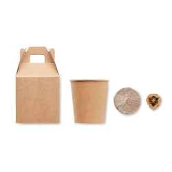 Nasiona sosny, torf, doniczka - GROWTREE™ (MO6228-13)